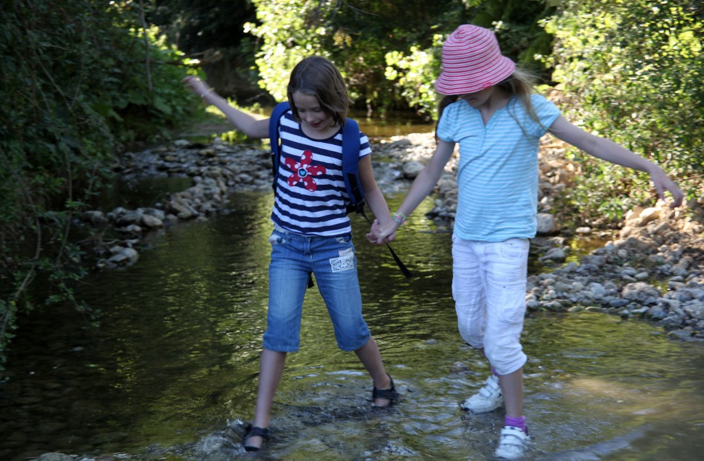 crossing stream