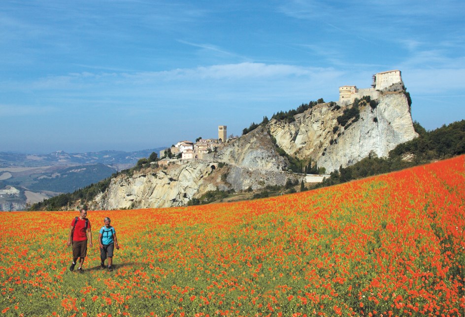 San Leo with poppies