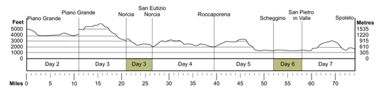 Topographical profile