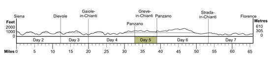 Topographical profile
