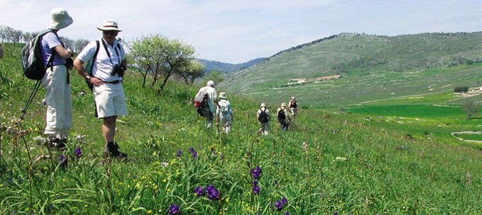 Flowers of the Gargano trip