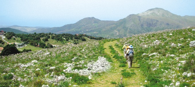 Sicily: From the Centre to the Sea trip