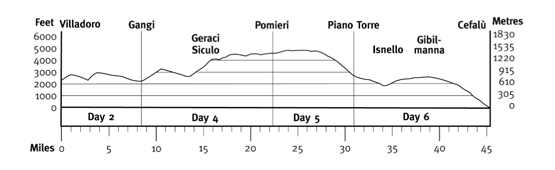 Topographical profile