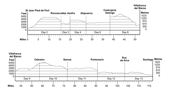 Topographical profile