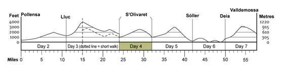 Topographical profile