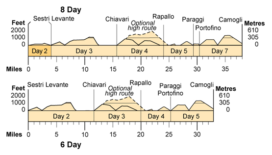 Topographical profile