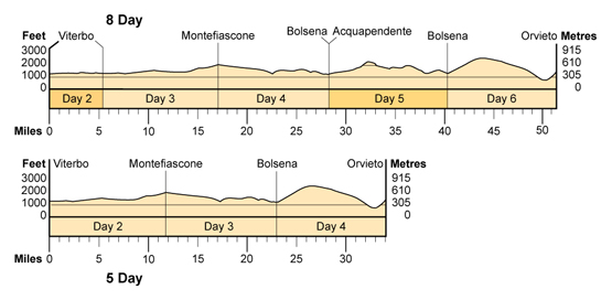Topographical profile