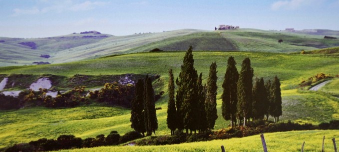 Tuscany & Siena trip