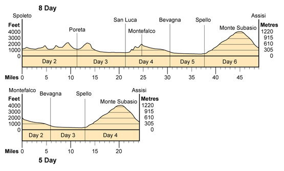 Topographical profile