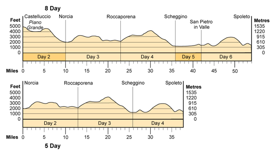 Topographical profile