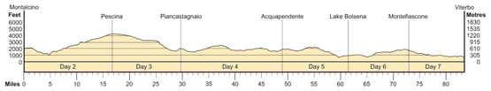 Topographical profile