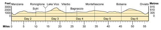 Topographical profile