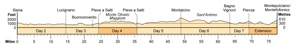 Topographical profile