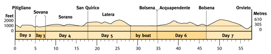 Topographical profile