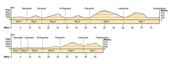 Topographical profile