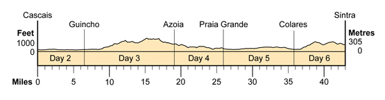 Topographical profile