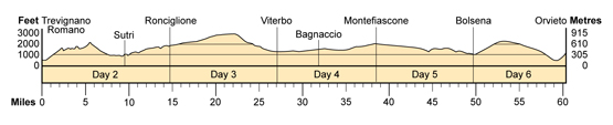 Topographical profile