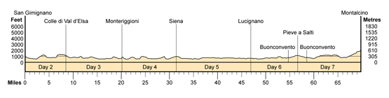 Topographical profile