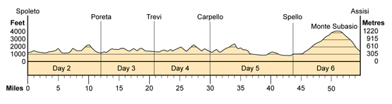 Topographical profile