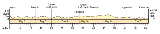Topographical profile