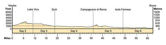 Topographical profile