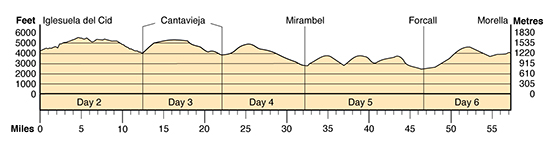 Topographical profile