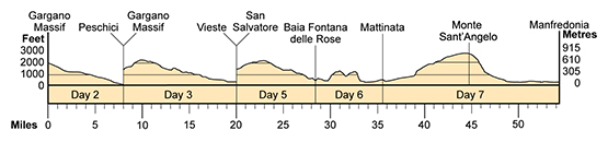 Topographical profile