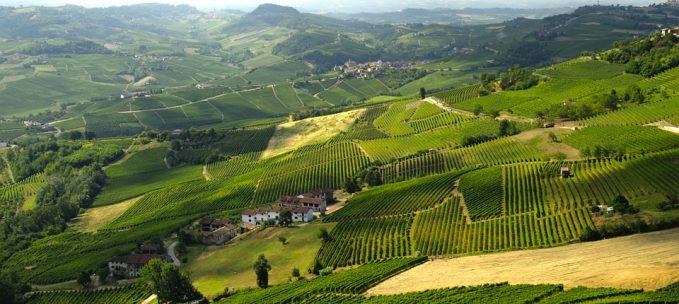 Barolo & the Langhe Hills trip