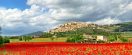 High Paths to Assisi