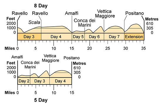 Topographical profile