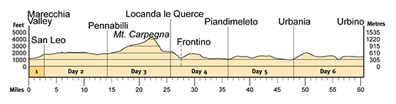 Topographical profile