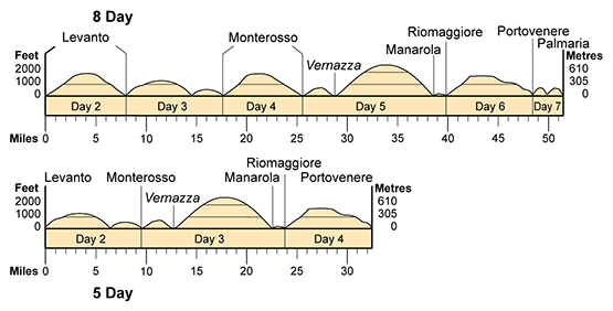 Topographical profile