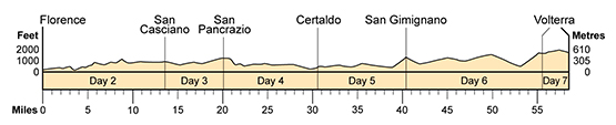 Topographical profile