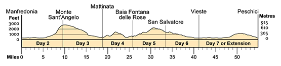 Topographical profile