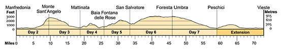 Topographical profile