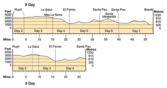 Topographical profile