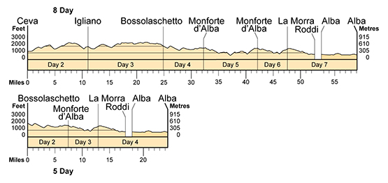 Topographical profile