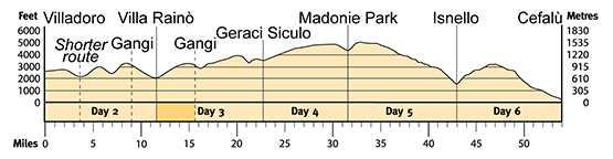 Topographical profile