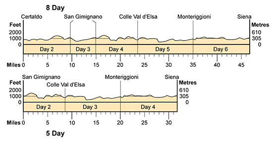 Topographical profile