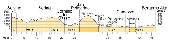 Topographical profile