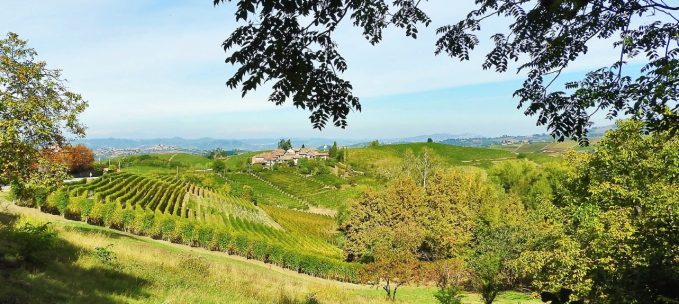 Barolo & the Langhe Hills trip