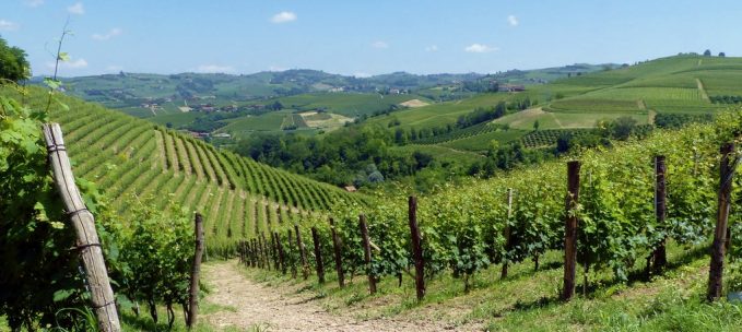 Barolo & the Langhe Hills trip