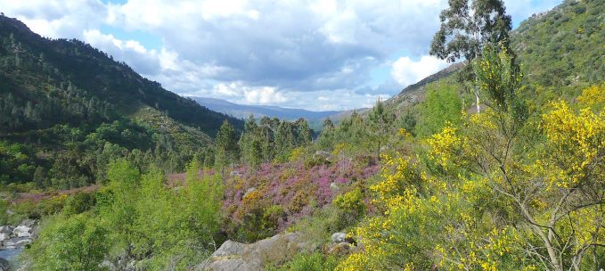 Paths of Peneda trip