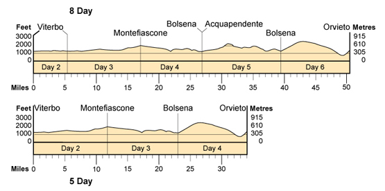 Topographical profile