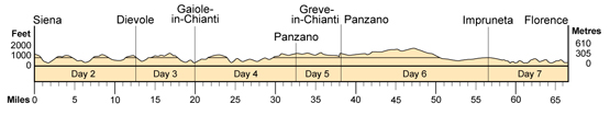 Topographical profile