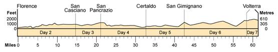 Topographical profile