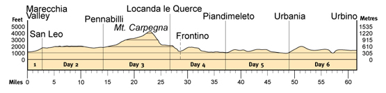 Topographical profile