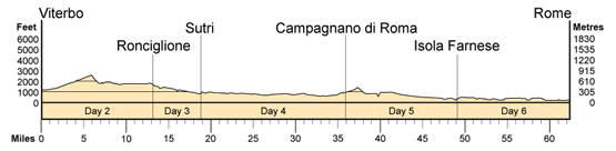 Topographical profile