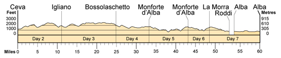 Topographical profile