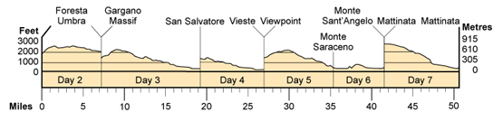 Topographical profile